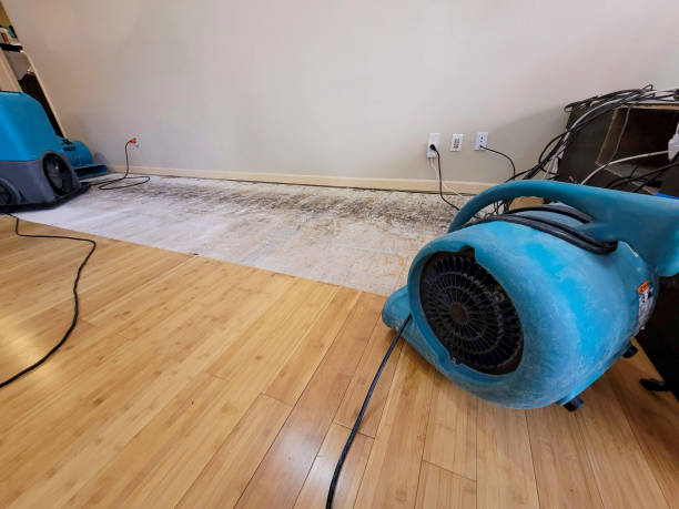 Professional Sewage Cleanup technician working in Augusta, NJ